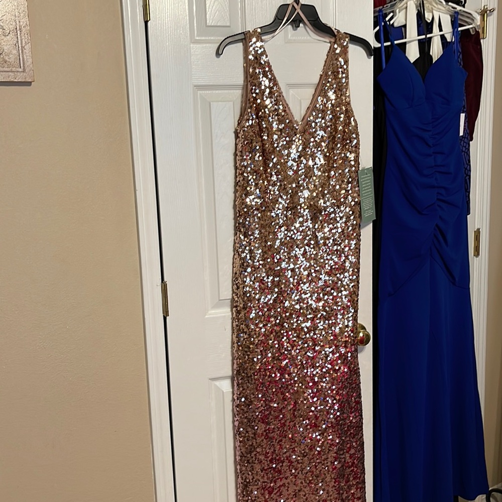 NWT Gold and Rose Gold ombré Formal